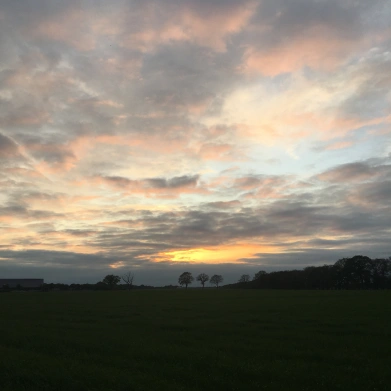 landschap Overrijsel